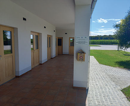 Dominkova_recepcija_2