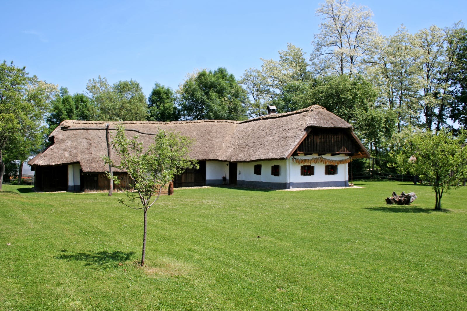 Dominkova domačija