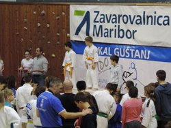 Izjemen uspeh kamniških judoistov