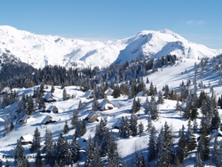 Družba Velika planina ob 8. marcu vsem ženskam podarja brezplačno vozovnico