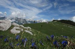 S soncem obsijana Velika planina vabi, da jo obiščete