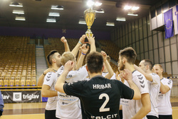 Odbojkarji Calcit Volleyballa ponovno državni podprvaki