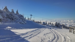 Velika planina ta konec tedna odpira sankaško progo