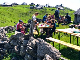 Velika planina ponovno beleži rekordno število obiskovalcev