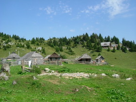 Rezultati delavnic in anket o razvoju Velike planine