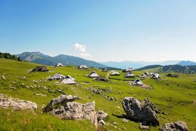 Pričetek poletne sezone na Veliki planini