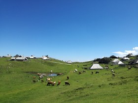 Pričetek poletne sezone na Veliki planini