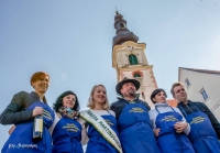Martinovanje