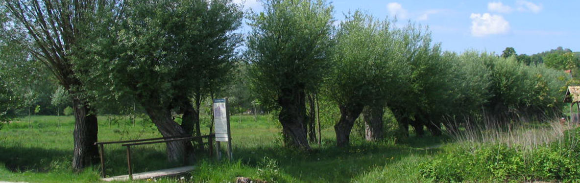 Dobrodošli na spletni strani Občine Rogašovci