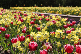 Arboretum Volčji Potok ponovno odprt