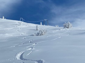 Na dnevno smuko ali nočno sankanje na Veliko planino v petek, 8. januarja