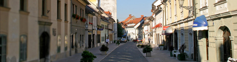 Šutna