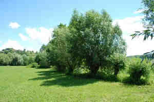 ZRSVN_Gregor Kalan_slike k članku mejice (3)