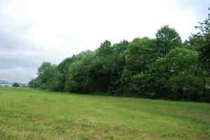 ZRSVN_Gregor Kalan_slike k članku mejice (4)