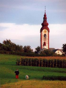 1. mesto 2008 Bogdan Bricelj - Popoldanski sprehod