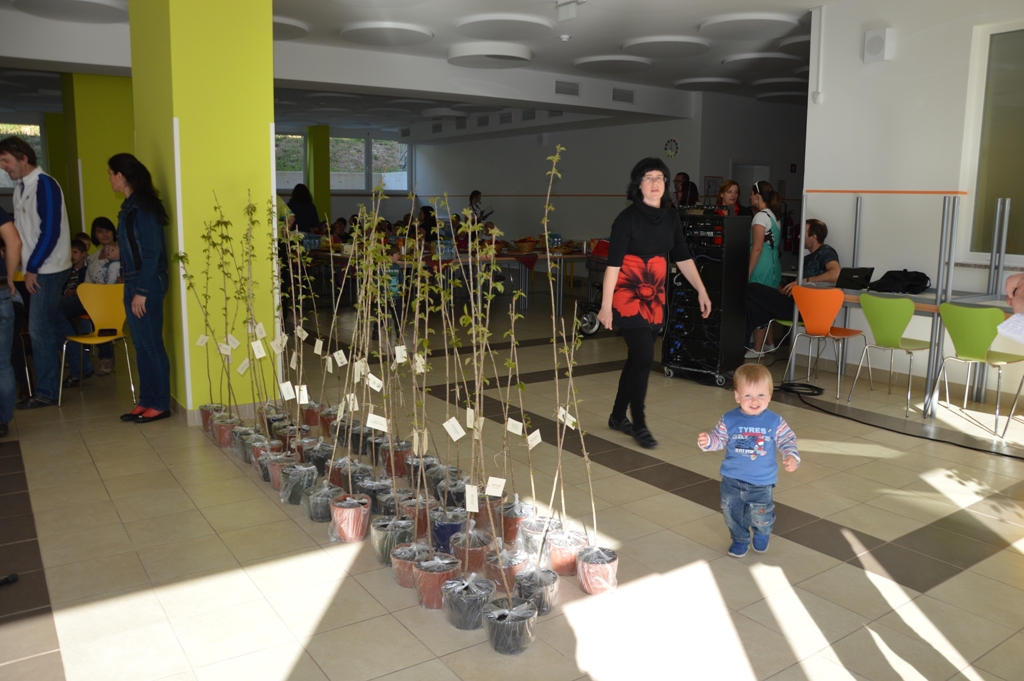 Drevesa za otroke 210416 (1)