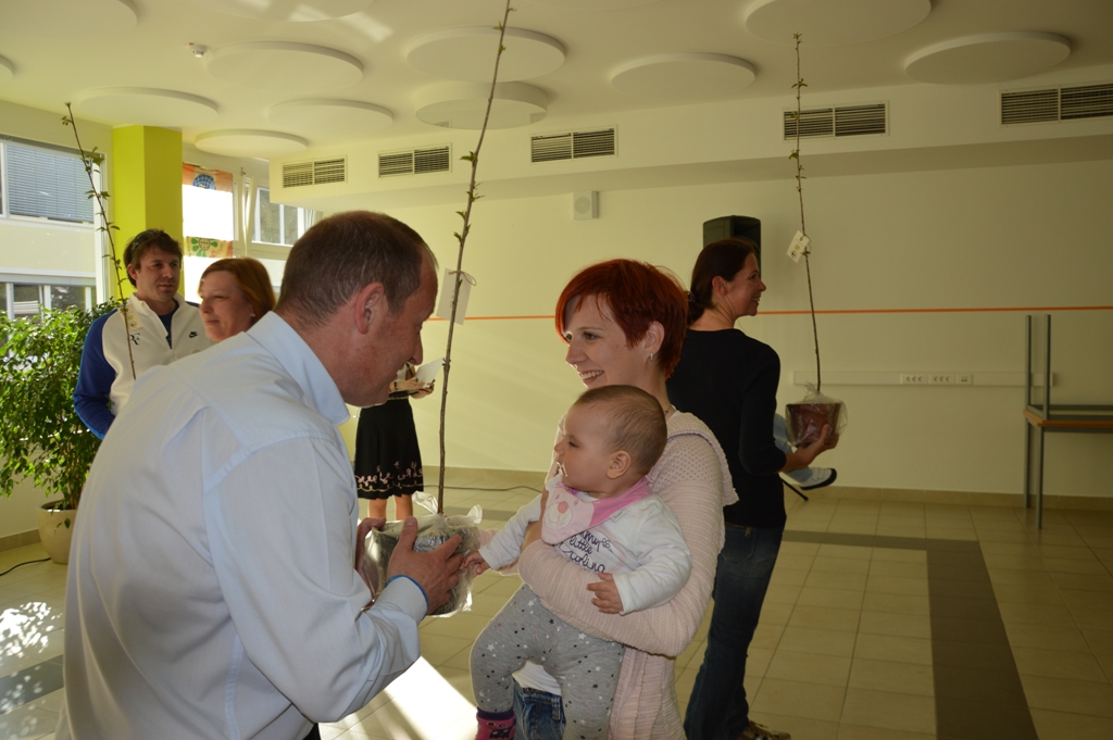 Drevesa za otroke 210416 (41)