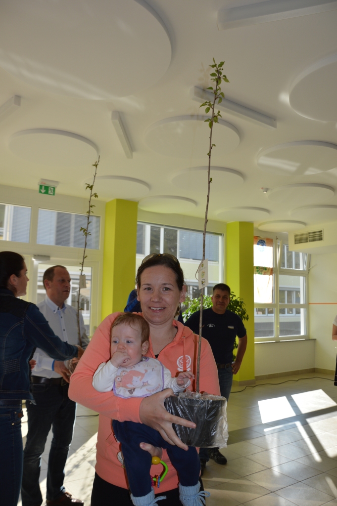 Drevesa za otroke 210416 (45)