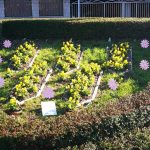 Rožnati oktober v Žirovnici