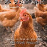 Reja kokoši za začetnike - ZOOM delavnica