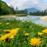 VSAKOLETNA ČISTILNA AKCIJA V OBČINI ŽIROVNICA ODPADE