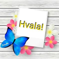 HVALA