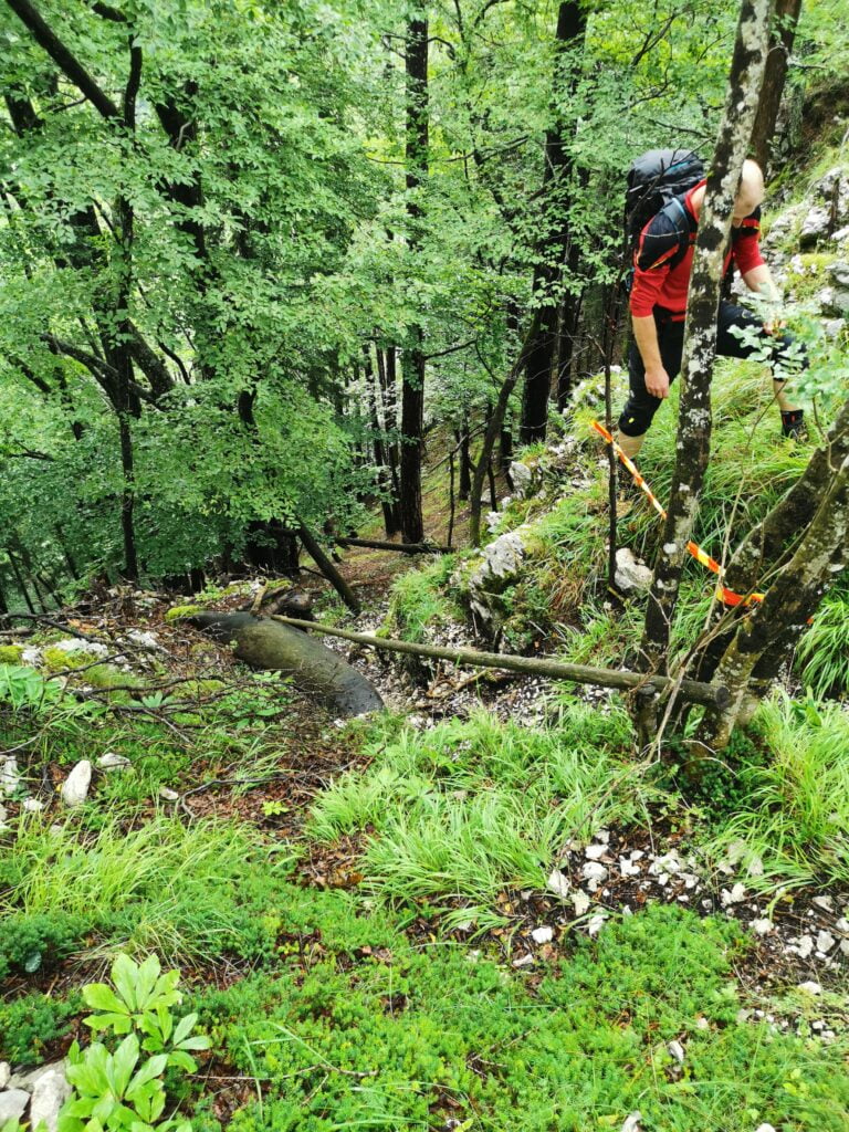 slike škoda po poplavah