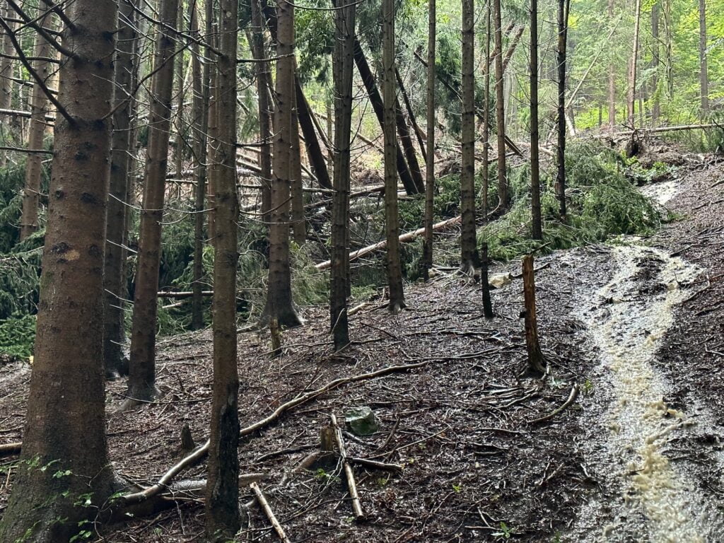 slike škoda po poplavah