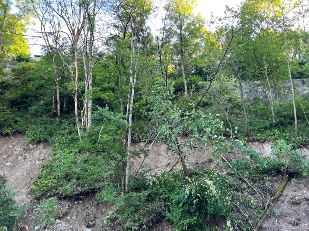 Fotografija brežina Moste