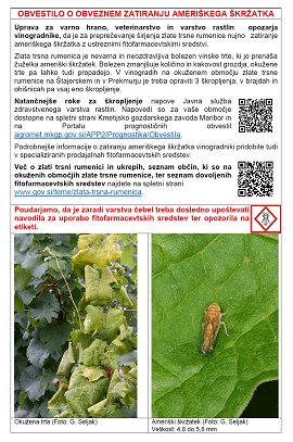 Oglas zlata trsna rumenica-jun24-SV-SLO-okuzeno