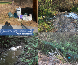 Facebook post Občina Gornja Radgona-93