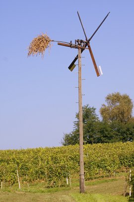 Klopotec med goricami - september 2009, Avtor: Milan Klemenčič