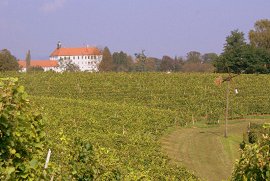 Radgonski grad in gorice - september 2009, Avtor: Milan Klemenčič
