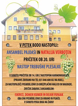 Alenkina noč_Letak A5_2 stran-22-23.06.2012.jpg