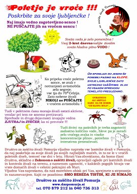 DZZ Pomurja-Plakat POLETJE je VROČE-A4-JP 2013.jpg