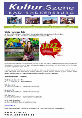 Martinovanje 09.11.2013-Flugblatt_ViolaHammer.png