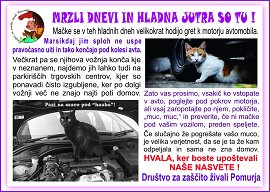 DZŽ_Pomurja-dec_13-Muca pod havbo.jpg