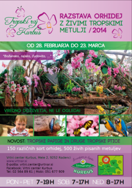 VABILO-Tropski raj Kurbus-28.02.2014.png