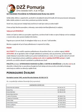 DZŽ pomurja - prispevek povožene živali na cesti.jpg