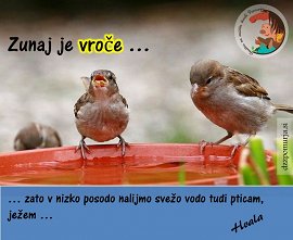 DZŽPomurja-Vodo pticam.jpg