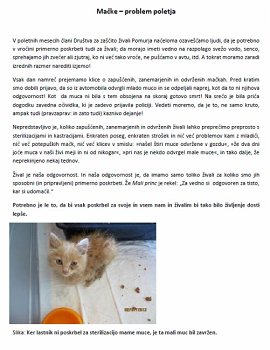 DZŽPomurja-Mačke - problem poletja.jpg
