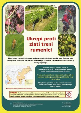 Obvestilo-ameriški škržatek-DN135597-17 Plakat.jpg