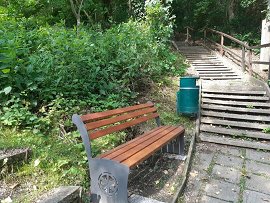 Klopi in koši-maj-jun 2020-20200526 085702