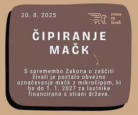 Obvezno čipiranje mačk 20. 8. 2025